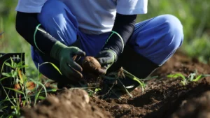 Marketing para Agricultores, marketing agrario canarias,