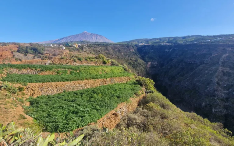 publicidad para agricultores, papas pico la grieta