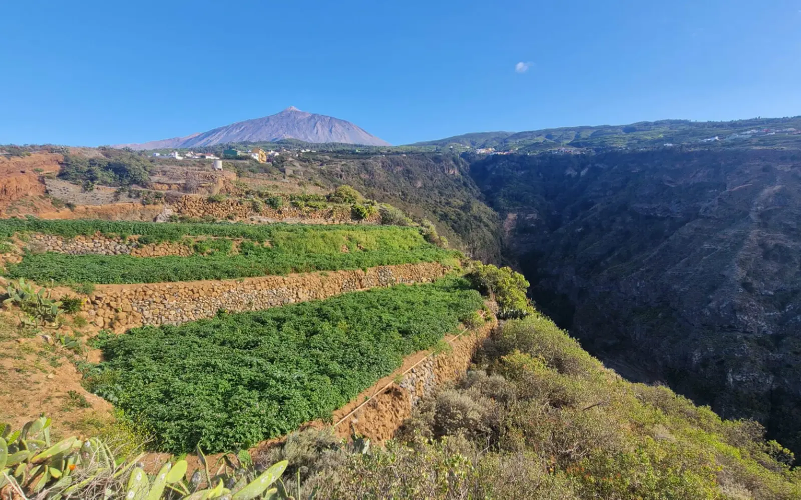publicidad para agricultores, papas pico la grieta
